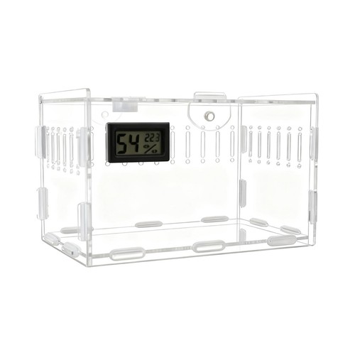 Acrylic spider enclosure - acrylic,