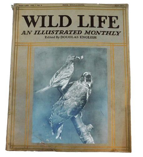 Wild life old 1910s - wild,