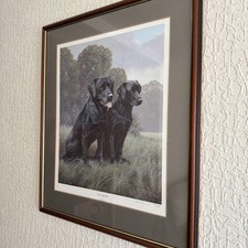 Nigel Hemming Black Labrador
