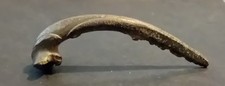 Old Cambridgeshire UK Metal Detector Find - Roman Brooch (c