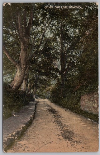 Oswestry shropshire broom hill - shropshire,