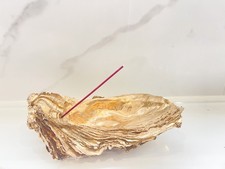 gold  giant oyster shell