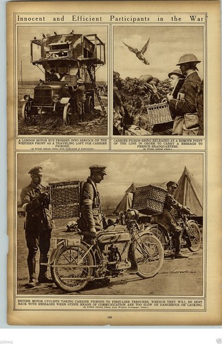1919 british motorcycles - british,