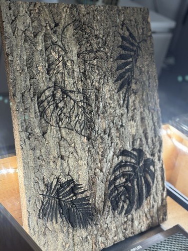 Engraved reptile cork - engraved,