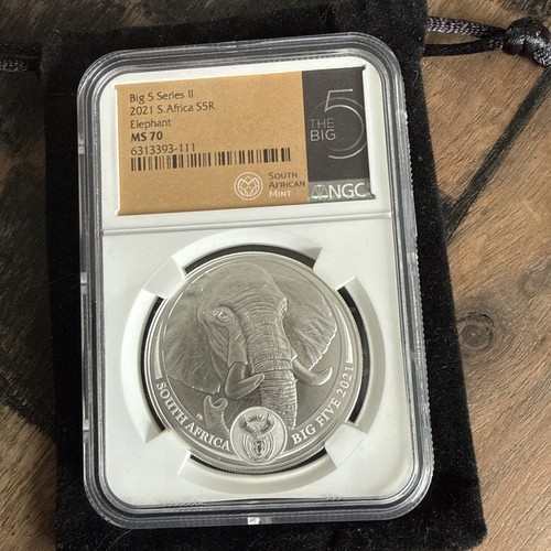 2021 big series elephant - 5,