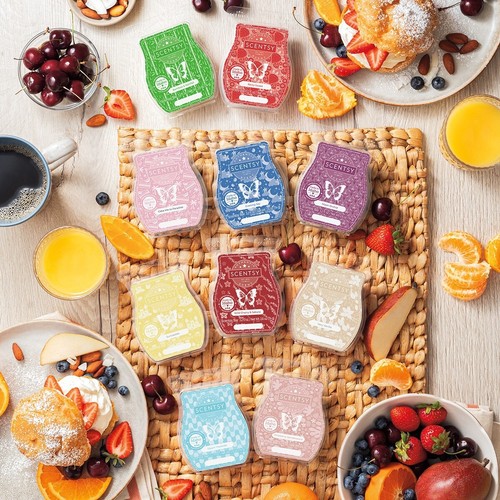 Scentsy wax bars - bars, your