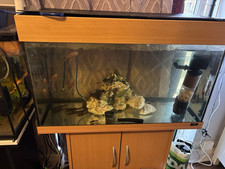 Fish Tank+cabinet 