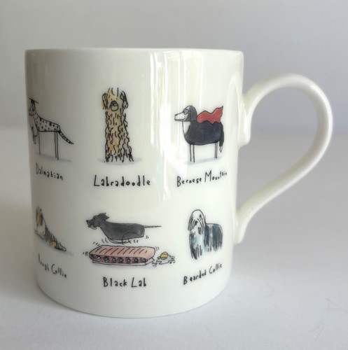 Mclaggan smith breeds dog - mclaggan,
