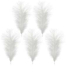 35-60cm Large Ostrich Feathers