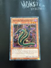YUGIOH PREDAPLANT DARLINGTONIA