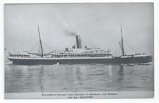 Wilson Line CALYPSO Steam Ship PC-size RP Card