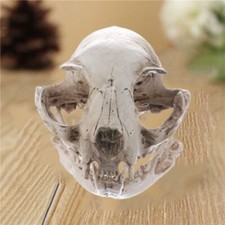 Resin Animal Skull Ornament