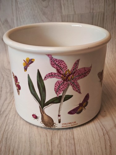 Portmeirion botanic garden - garden, 5"