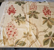 Chestnut Tree by Sanderson