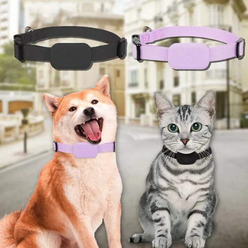 Pet cat dog gps - dog,