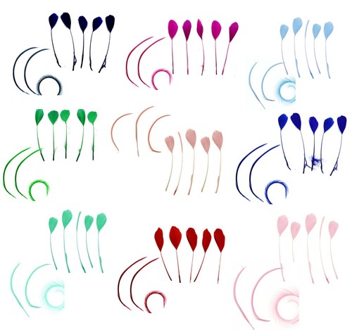 Feather pack coque tear - feather,