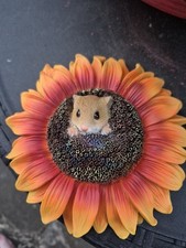 Harvest Mouse Orange Sunflower