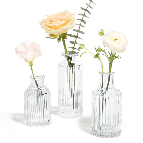 Comsaf glass bud vases set - set, of