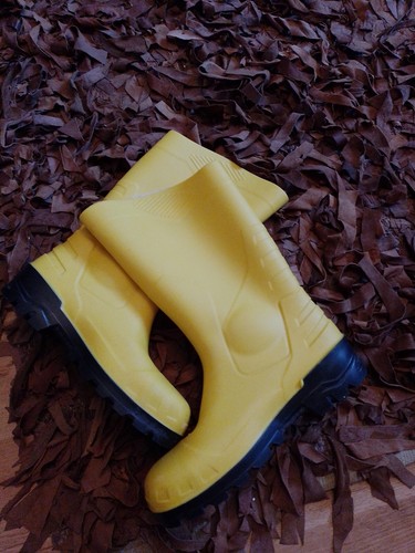Unisex steel toe cap bright - steel,