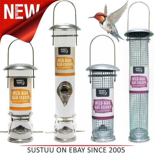 Kingfisher deluxe wild - deluxe, birds