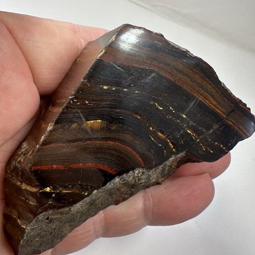 Tiger iron eye - iron,