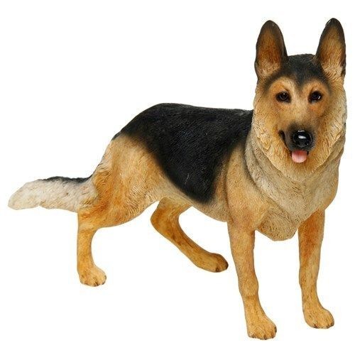 Alsatian german shepherd dog - alsatian,