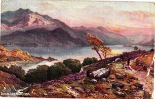 Tucks 1905 Oilette Postcard