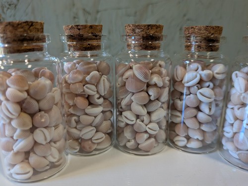 Vial groatie buckies trivia - groatie, (trivia