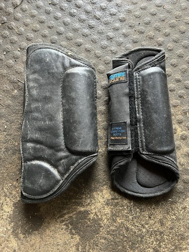 Premier equine hind - equine,
