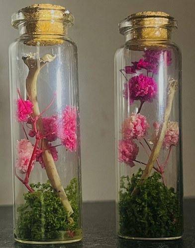 Rabbit ribs curio bottle - , (1)