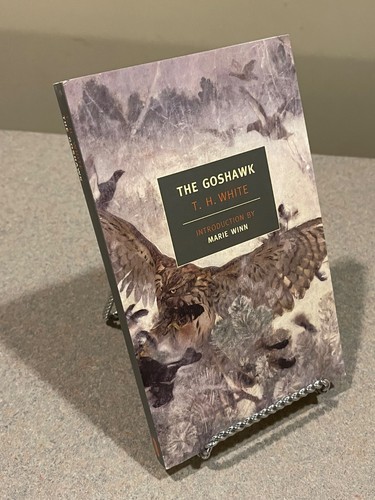 The goshawk new york - the,