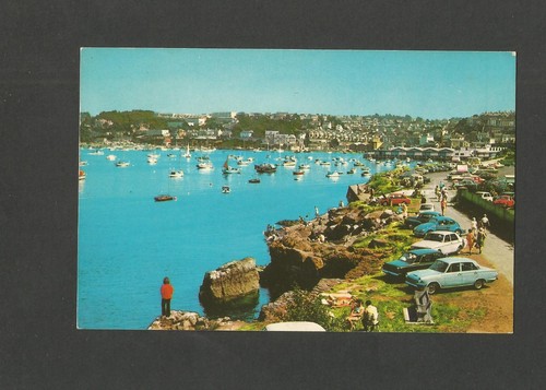 Postcard devon brixham - brixham, marine