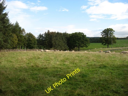 Photo 12x8 farmland near - 12x8,