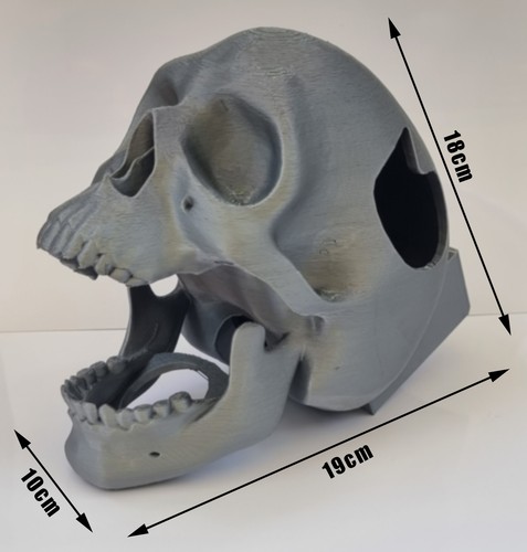 Unique exotic pet decorations