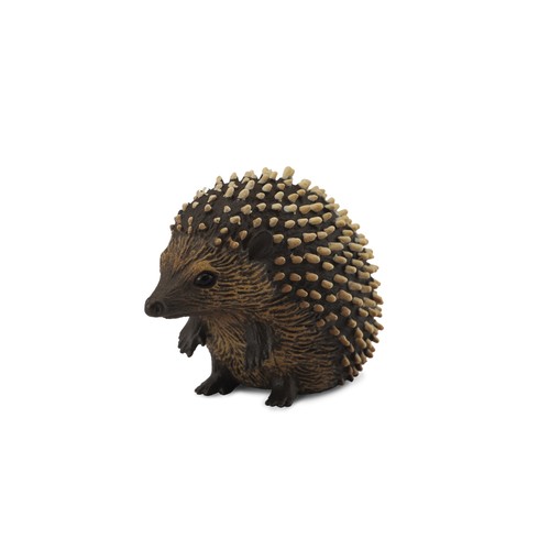 Collecta hedgehog - collecta,