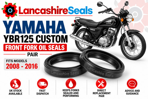 Yamaha ybr125 custom - yamaha,