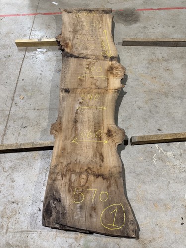 Live edge elm slab timber - live,
