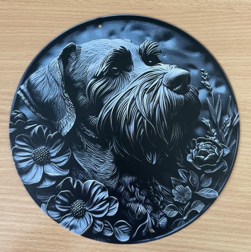Miniature schnauzer dog - miniature,