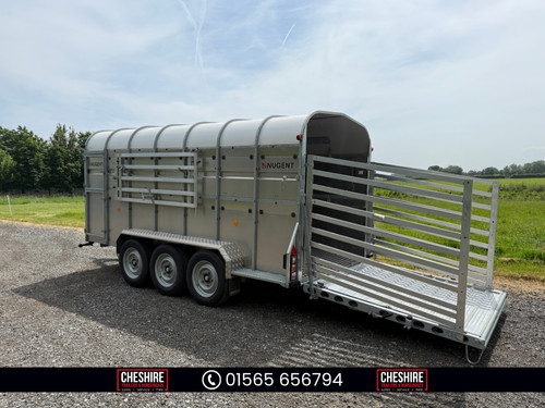 Nugent 6 livestock - nugent, x