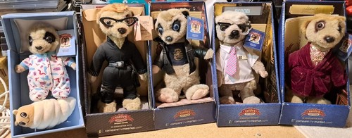 Compare the meerkat soft - 10+1,