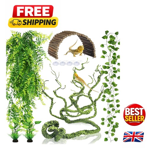 Realistic jungle climber vine - jungle,