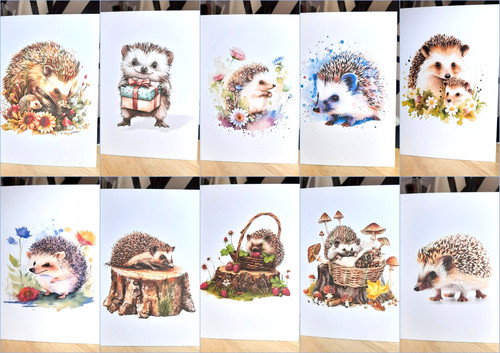 Hedgehogs multi use a6 - 10,