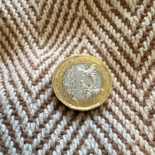 2017 one pound coin - £1,