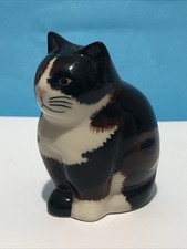 Tortoise Shell  Coloured Cat