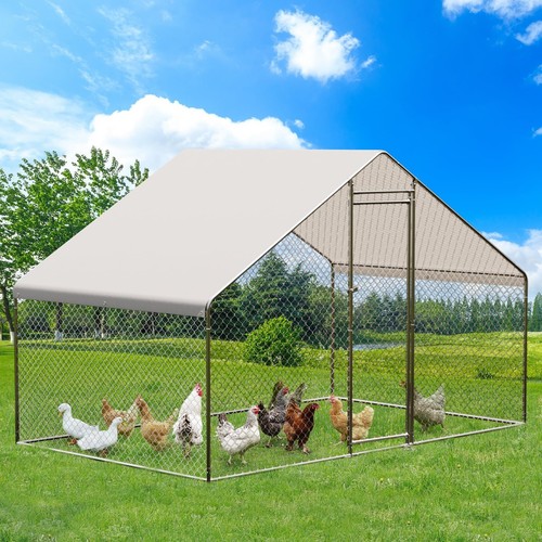 Metal chicken coop - metal,