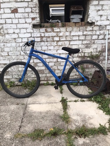 Blue coyote adult bike - bike, used
