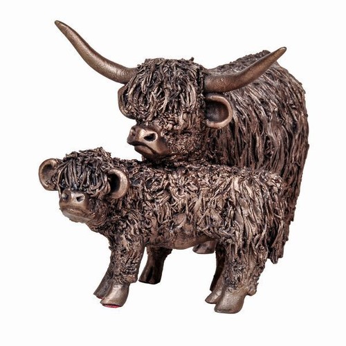 Highland cow calf cold - calf,