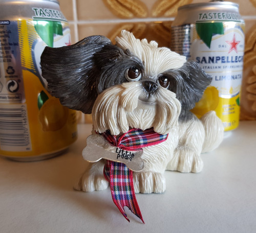 Little paws shih tzu - shih-tzu, oreo
