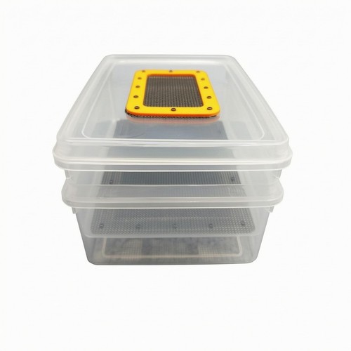Mealworm rearing box - rearing,