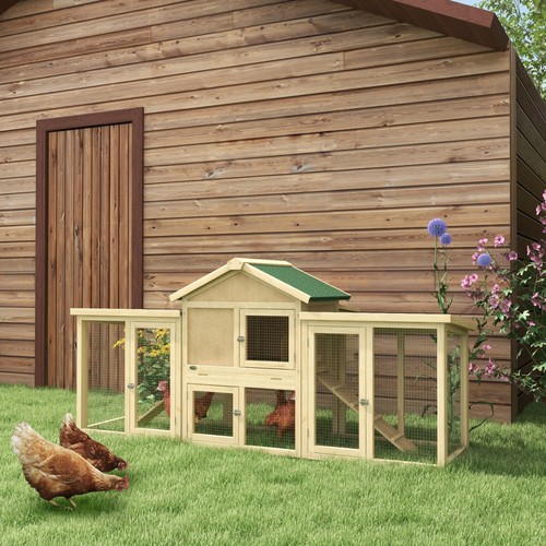 Large chicken coop garden hen - chicken,